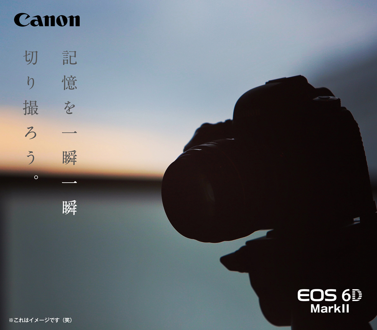 canon_IMG_5139