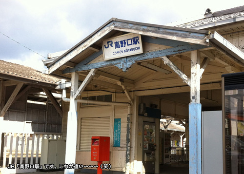 写真 11-12-12 13 03 50