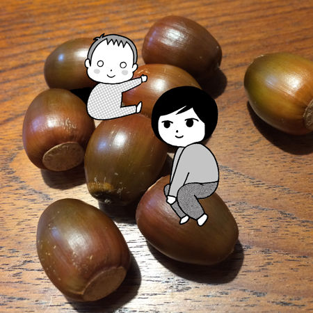 どんぐり