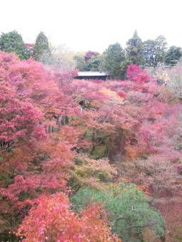 11-27東福寺