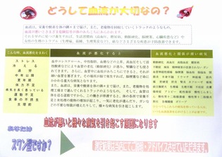 ブログ用　血流計14