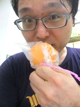 ブログ用　冷凍みかん01