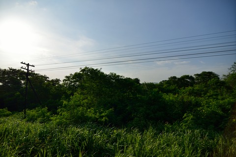 DSC_1928