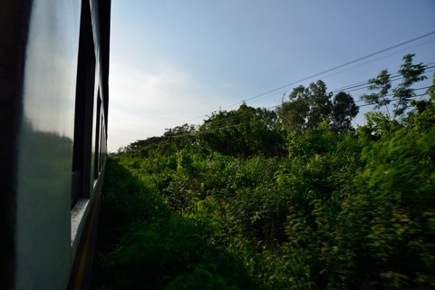 DSC_1926