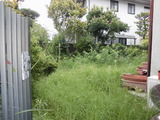 CIMG5049