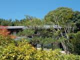 DSCN0090