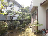 CIMG5053