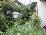 CIMG5050