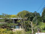 DSCN0091