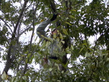 DSCN0038