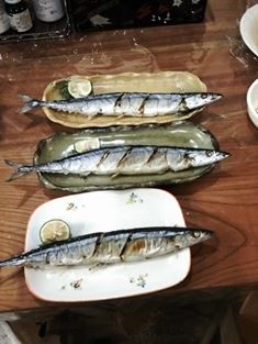 10649905_577919242333617_4427503488678486909_n