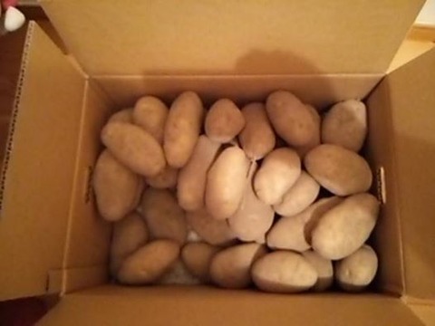 1486709_599443923514482_2748210824052964565_n