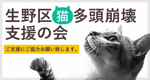 生野区猫多頭崩壊支援の会