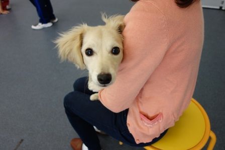 DSC00960