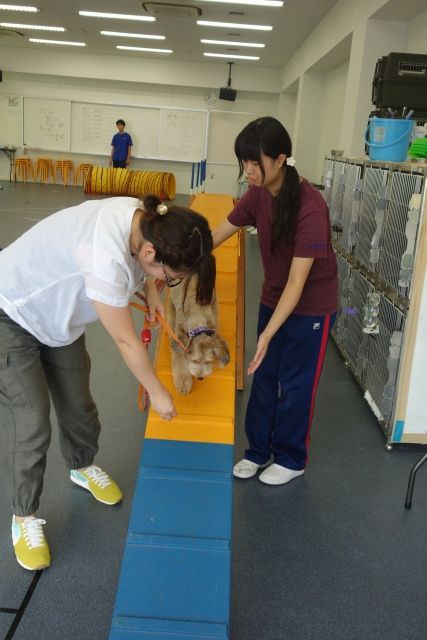 DSC07316