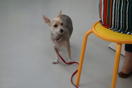 DSC02156
