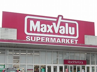 smax2