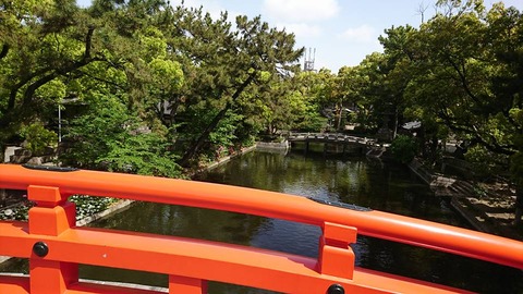 30715390_2108802199355891_2817821918558683136_n