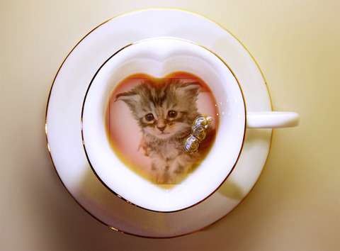 cup