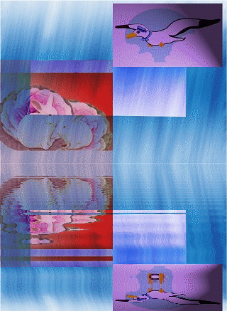 Kweb