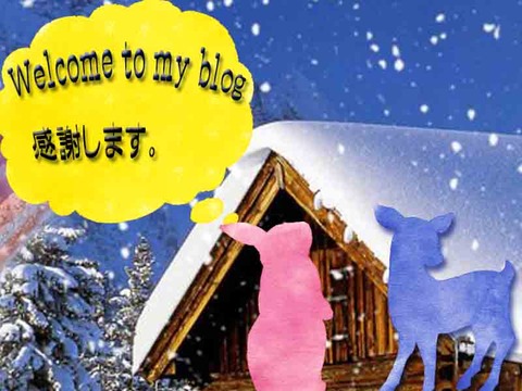 Welcome to my blog