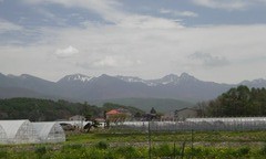 PAP_0021