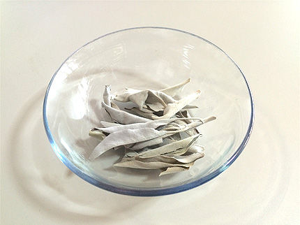 ホワイトセージでゴキブリ退治 パワーストーンエンジェル