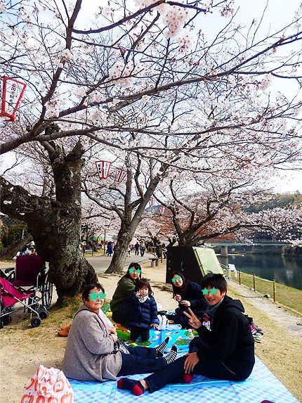 ２０１９年錦帯橋花見2