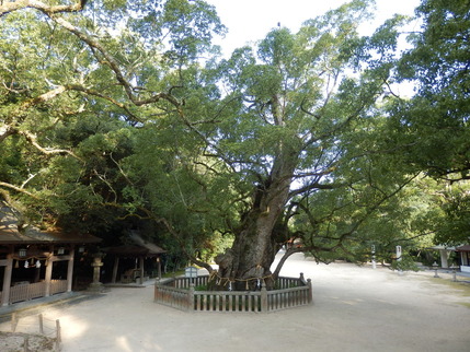 大山祇神社25