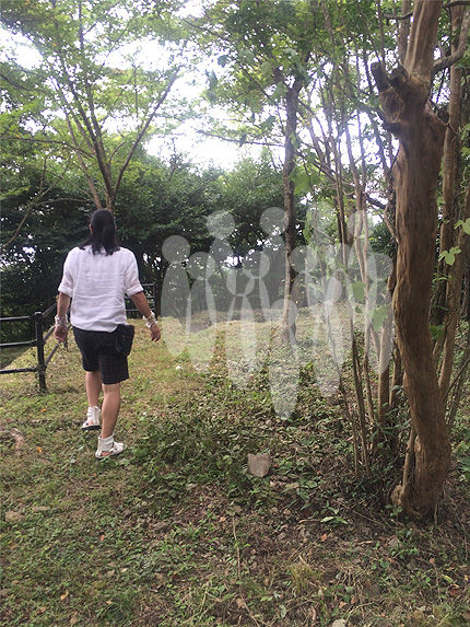 キナン・アーキパンクチャー18