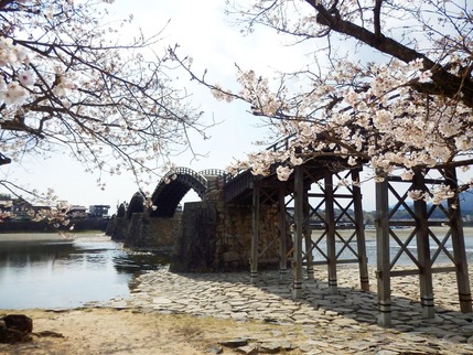 ２０１９年錦帯橋花見1