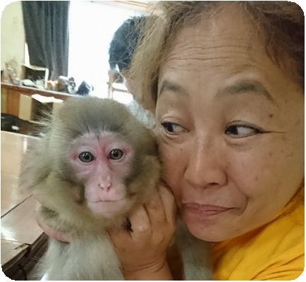 DSC_0004_02-600x1067