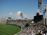 甲子園球場2