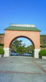 6e77ef11.jpg
