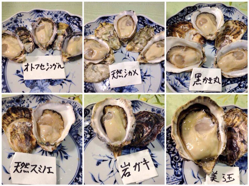 牡蠣ってこんなにいろんな品種がいるの マガキとイワガキだけではない 牡蠣百科