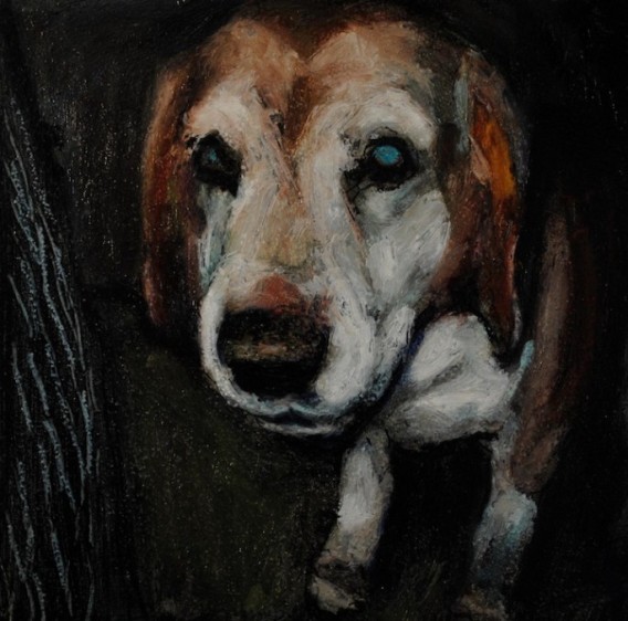 犬たちの最期の表情 殺処分を待つ犬たちの遺影を描き続ける一人の画家のプロジェクト 森のくまのひとりごと