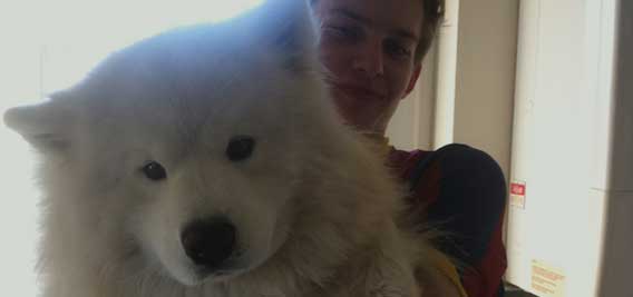 そうとうでかい