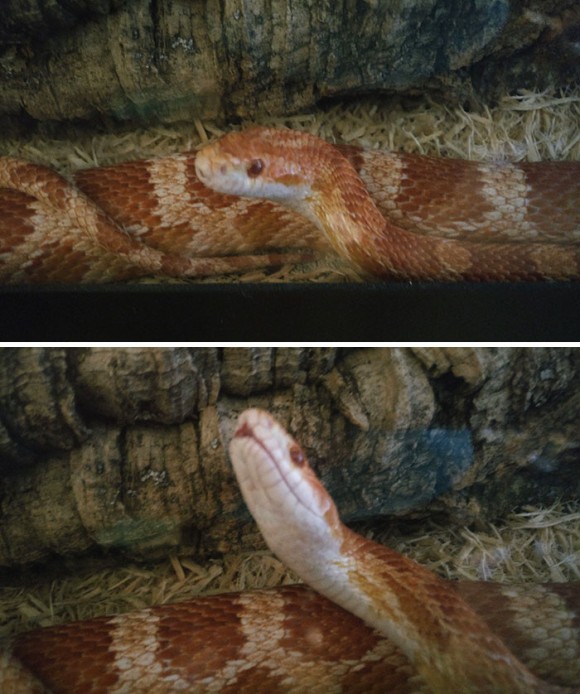 13_e