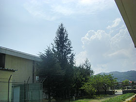 CIMG6197