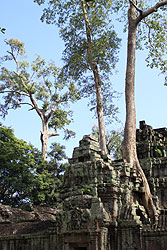 0-005