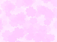 041