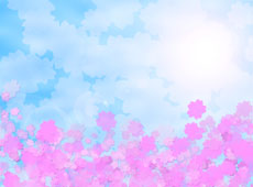 055