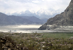 029