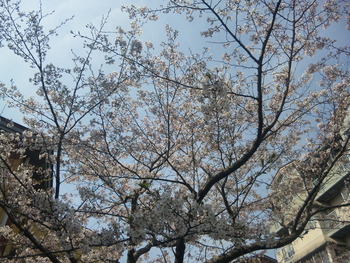 110404_101823