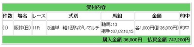 日阪神１１レース