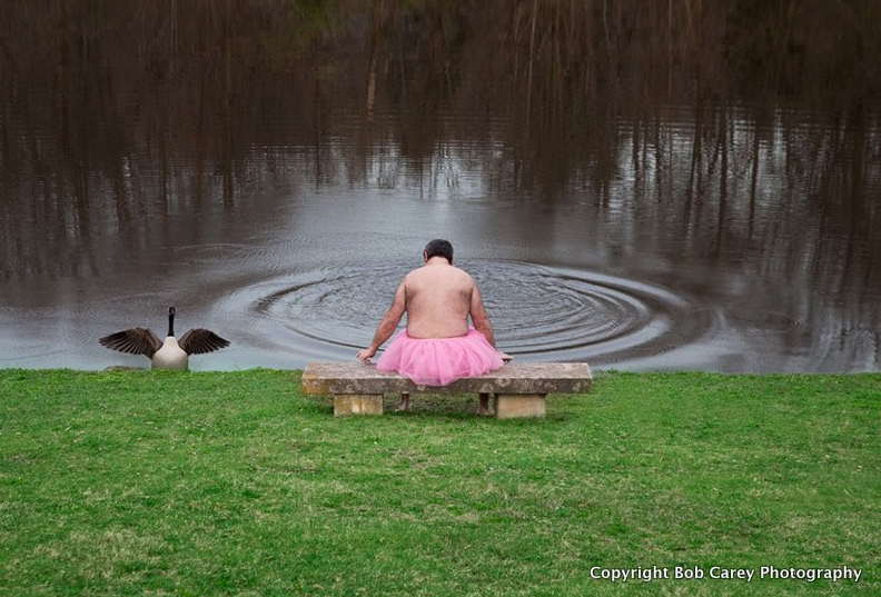 Goose_the-tutu-project