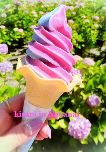 000CIMG8096-b