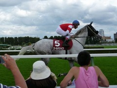 札幌競馬場_ゴールドシップ_201408
