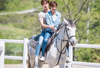 シンデレラと4人の騎士 DVD