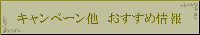 お得なキャンペーン情報や割引き案内をしています。